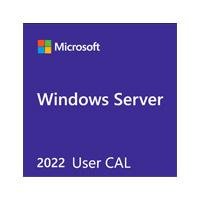 MICROSOFT OEM WINDOWS SERVER CAL 2022 SPANISH PAQUETE 5 USUARIOS LICEN