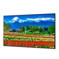 MONITOR PROFESIONAL DE 75 NEC M751 UHD 3840 X 2160 24/7, 500 CD/M2 COM