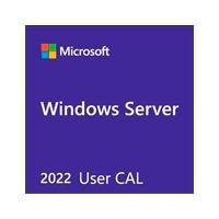 MICROSOFT OEM WINDOWS SERVER CAL 2022 SPANISH PAQUETE 1 USUARIOS LICEN