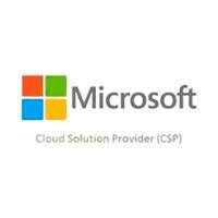 MICROSOFT CSP EXCHANGE SERVER STANDARD 2019 USER CAL COMMERCIAL PERPET